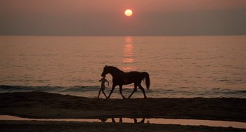 Movie still from “The Black Stallion” (1979), directed by Carroll Ballard – A person and a horse walking on the beach at sunset; Extreme Wide shot, Low angle