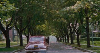 Movie still from “The Black Stallion” (1979), directed by Carroll Ballard – A person standing on the side of a road next to a car; Extreme Wide shot, High angle