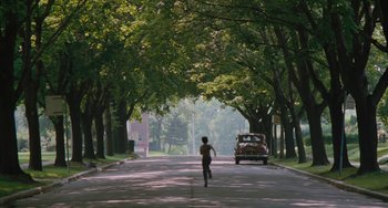 Movie still from “The Black Stallion” (1979), directed by Carroll Ballard – A man running down a tree - lined street; Extreme Wide shot, High angle