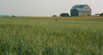 Movie still from “The Black Stallion” (1979), directed by Carroll Ballard – A person in a field with a barn in the background; Extreme Wide shot, High angle