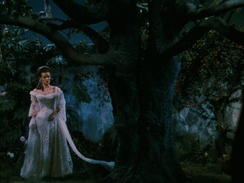 Movie still from “The Black Swan” (1942), directed by Henry King – A woman in a white dress standing next to a tree; Wide shot, Low angle