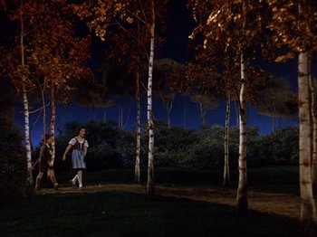 Movie still from “The Blue Bird” (1940), directed by Walter Lang – A couple of people are walking in the woods at night; Extreme Wide shot, Low angle