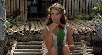 Movie still from “The Blue Lagoon” (1980), directed by Randal Kleiser – A beautiful woman sitting on the ground with a parrot on her lap; Close Up shot, High angle