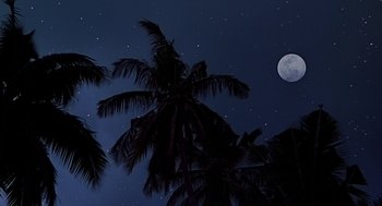 Movie still from “The Blue Lagoon” (1980), directed by Randal Kleiser – A full moon is seen in the night sky above palm trees; Extreme Wide shot, Low angle