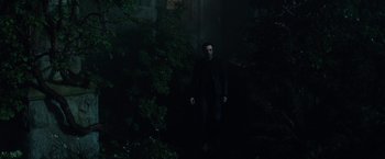 Movie still from “The Boy” (2016), directed by William Brent Bell – A man standing in the dark near some trees; Wide shot, Low angle