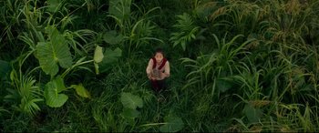 Movie still from “Godzilla vs. Kong” (2021), directed by Adam Wingard – A young boy sitting in the middle of a lush green field; Extreme Wide shot, Overhead angle