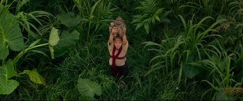 Movie still from “Godzilla vs. Kong” (2021), directed by Adam Wingard – A young child in a field holding a cat; Wide shot, Overhead angle