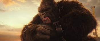 Movie still from “Godzilla vs. Kong” (2021), directed by Adam Wingard – A gorilla that is holding something in his mouth; Close Up shot, Low angle