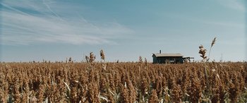 Movie still from “The Burning Plain” (2008), directed by Guillermo Arriaga – An old house in the middle of a corn field; Extreme Wide shot, Low angle
