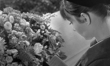 Movie still from “The Children's Hour” (1961), directed by William Wyler – A woman reading a book next to a flower bed; Close Up shot, High angle