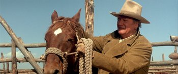 Movie still from “The Cowboys” (1972), directed by Mark Rydell – A man in a cowboy hat is holding the reins of a horse; Medium shot, Low angle