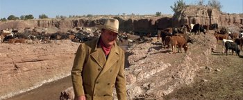 Movie still from “The Cowboys” (1972), directed by Mark Rydell – A man in a cowboy hat standing in front of a herd of cattle; Wide shot, Over the shoulder angle