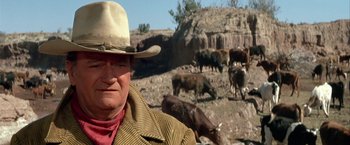 Movie still from “The Cowboys” (1972), directed by Mark Rydell – A man in a cowboy hat standing in front of cows; Close Up shot, Low angle