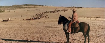 Movie still from “The Cowboys” (1972), directed by Mark Rydell – A man riding a horse in a field with a herd of cattle; Extreme Wide shot, High angle