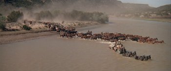 Movie still from “The Cowboys” (1972), directed by Mark Rydell – A herd of horses being herded down a river; Extreme Wide shot, High angle