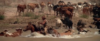 Movie still from “The Cowboys” (1972), directed by Mark Rydell – A man on a horse in the middle of a herd of cattle; Wide shot, High angle