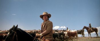 Movie still from “The Cowboys” (1972), directed by Mark Rydell – A man in a cowboy hat standing in front of a herd of cattle; Medium shot, Low angle