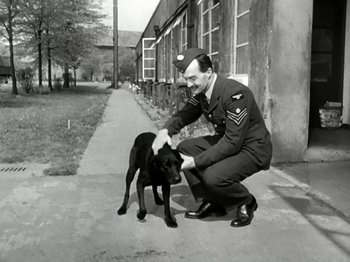 Movie still from “The Dam Busters” (1955), directed by Michael Anderson – A man kneeling down next to a black dog; Medium shot, High angle