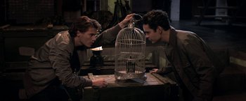 Movie still from “The Darkest Hour” (2011), directed by Chris Gorak – Two young men looking at a bird in a birdcage; Medium shot, Low angle
