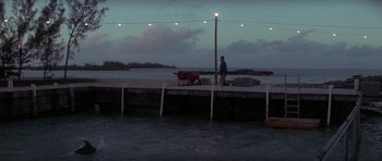 Movie still from “The Day of the Dolphin” (1973), directed by Mike Nichols – A man standing on a pier next to water; Extreme Wide shot, Over the shoulder angle