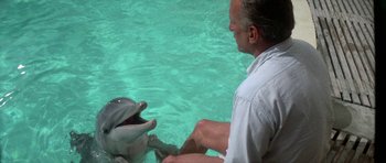 Movie still from “The Day of the Dolphin” (1973), directed by Mike Nichols – A man sitting next to a dolphin in the water; Medium shot, High angle
