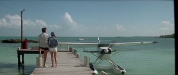 Movie still from “The Day of the Dolphin” (1973), directed by Mike Nichols – A woman standing on a pier looking at a small plane; Wide shot, Low angle