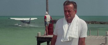Movie still from “The Day of the Dolphin” (1973), directed by Mike Nichols – A man with a towel around his neck standing on a pier; Medium shot, Low angle