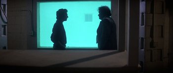 Movie still from “The Day of the Dolphin” (1973), directed by Mike Nichols – Two people standing next to each other in front of a window; Wide shot, Over the shoulder angle