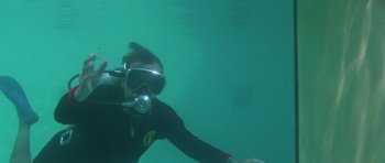 Movie still from “The Day of the Dolphin” (1973), directed by Mike Nichols – A man in a scuba suit swimming in the ocean; Medium shot, Low angle