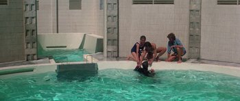 Movie still from “The Day of the Dolphin” (1973), directed by Mike Nichols – A group of people in a swimming pool with a dog; Wide shot, High angle