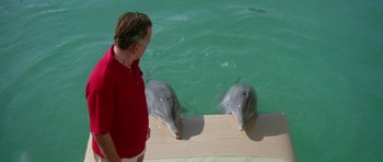 Movie still from “The Day of the Dolphin” (1973), directed by Mike Nichols – A man standing next to two dolphins in the water; Medium shot, High angle