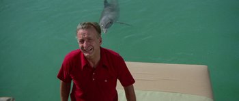 Movie still from “The Day of the Dolphin” (1973), directed by Mike Nichols – A man in a red shirt and a dolphin in the water; Medium shot, Over the shoulder angle