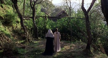 Movie still from “The Decameron” (1971), directed by Pier Paolo Pasolini – Two people in the woods looking out at the sky; Extreme Wide shot, High angle