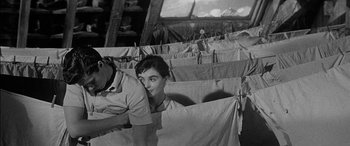 Movie still from “The Diary of Anne Frank” (1959), directed by George Stevens – An old black and white photo of a man and a woman; Medium shot, High angle