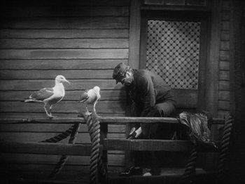 Movie still from “The Docks of New York” (1928), directed by Josef von Sternberg – A man sitting on top of a wooden bench next to seagulls; Wide shot, High angle
