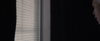 Movie still from “The Domestics” (2018), directed by Mike P. Nelson – A black and white photo of a window and blinds; Extreme Close Up shot, Low angle
