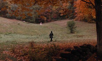 Movie still from “The Europeans” (1979), directed by James Ivory – A person walking through a field with a dog in the background; Extreme Wide shot, High angle