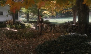 Movie still from “The Europeans” (1979), directed by James Ivory – A man walking in a park near a stone wall; Wide shot, High angle
