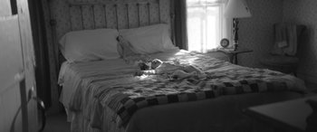 Movie still from “The Eyes of My Mother” (2016), directed by Nicolas Pesce – A dog is laying on a bed in a bedroom; Wide shot, High angle