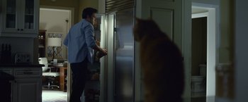 Movie still from “Gone Girl” (2014), directed by David Fincher – A man standing in front of an open refrigerator; Medium shot, Low angle