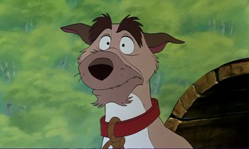 Movie still from “The Fox and the Hound” (1981), directed by Richard Rich – A dog with a red collar is looking at the camera; Close Up shot, Low angle
