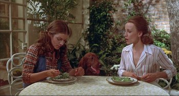 Movie still from “The Fury” (1978), directed by Brian De Palma – Two women sitting at a table with a plate of food and a dog; Medium shot, Over the shoulder angle