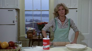 Movie still from “The Great Santini” (1979), directed by Lewis John Carlino – A woman standing at a kitchen counter with a roll of salt; Medium shot, Over the shoulder angle
