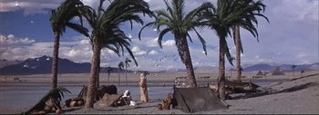 Movie still from “The Greatest Story Ever Told” (1965), directed by David Lean – A man standing on a beach next to a palm tree; Extreme Wide shot, High angle