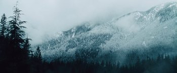 Movie still from “The Grey” (2011), directed by Joe Carnahan – A snowy mountain with trees in the background; Extreme Wide shot, Low angle