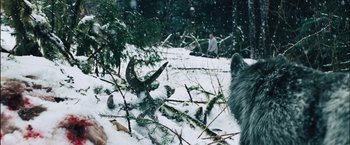 Movie still from “The Grey” (2011), directed by Joe Carnahan – A person sitting in the snow next to a tree; Wide shot, High angle