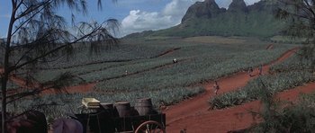 Movie still from “The Hawaiians” (1970), directed by Tom Gries – A cart with a horse drawn carriage driving down a road; Extreme Wide shot, High angle