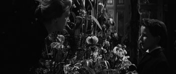 Movie still from “The Innocents” (1961), directed by Jack Clayton – A black and white photo of a woman looking at flowers in a garden; Close Up shot, Low angle