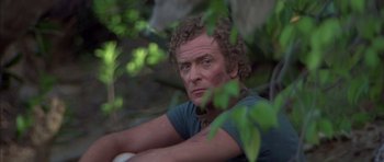 Movie still from “The Island” (1980), directed by Michael Ritchie – A person with curly hair sitting in a forest; Close Up shot, High angle