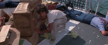 Movie still from “The Island” (1980), directed by Michael Ritchie – A young man kneeling down next to boxes of cabbage; Medium shot, High angle